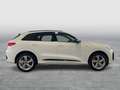 Audi Q5 SUV TFSI quattro 150 kW Weiß - thumbnail 5