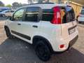 Fiat Panda Panda 1.3 mjt 16v 4x4 s&S WILD Bianco - thumbnail 4