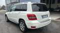Mercedes-Benz GLK 220 GLK 220 cdi be Edition1 4matic auto Белый - thumbnail 4