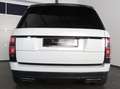 Land Rover Range Rover P525 Kompressor langer Radstand Vogue Scheckheft Grün - thumbnail 28