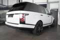 Land Rover Range Rover P525 Kompressor langer Radstand Vogue Scheckheft Grün - thumbnail 31