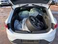 SEAT Leon Cupra 280*HU 06/2026* Weiß - thumbnail 12