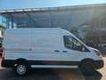 Ford Transit Kasten 350 L3H2 Trend Standheizung Weiß - thumbnail 2