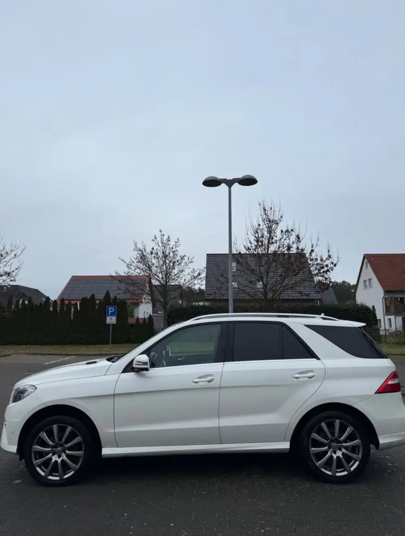 Mercedes-Benz ML 350 Mercedes-Benz ML350 AMG EDITION 1 DESIGNO Blanc - 1