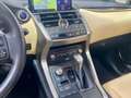 Lexus NX 300 300h Luxury 4WD Braun - thumbnail 18