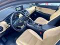 Lexus NX 300 300h Luxury 4WD Braun - thumbnail 16