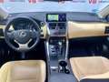Lexus NX 300 300h Luxury 4WD Brun - thumbnail 19