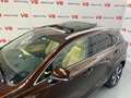 Lexus NX 300 300h Luxury 4WD Marrone - thumbnail 13
