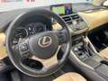 Lexus NX 300 300h Luxury 4WD Bruin - thumbnail 23