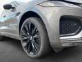 Jaguar F-Pace D300 AWD R-Dynamic SE Grau - thumbnail 5