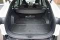 Toyota RAV 4 Plug-in-Hybrid Technik-Paket Wit - thumbnail 14