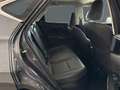 Lexus NX 300h 350h Executive 4WD Gris - thumbnail 9