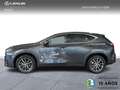 Lexus NX 300h 350h Executive 4WD Gris - thumbnail 5