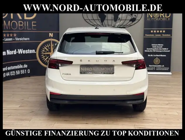 Skoda Fabia view 11