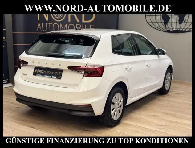 Skoda Fabia view 12