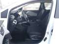 Ford Puma E-Gen 43kWh Weiß - thumbnail 10