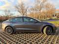 Tesla Model 3 Standard Range Plus Grau - thumbnail 5