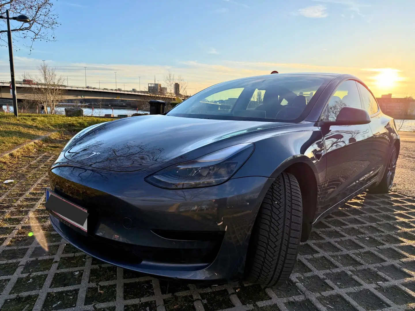 Tesla Model 3 Standard Range Plus Grau - 1