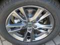 Skoda Fabia "All in"- Sondermodell Grigio - thumbnail 3