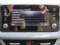 Skoda Fabia "All in"- Sondermodell Grigio - thumbnail 22