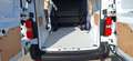Fiat Scudo DoKa 6-sitzig  L2H1 BlueHDi flexible Rückwand! Weiß - thumbnail 23