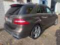 Mercedes-Benz ML 350 CDI BlueTec AMG-Line Pano Braun - thumbnail 3
