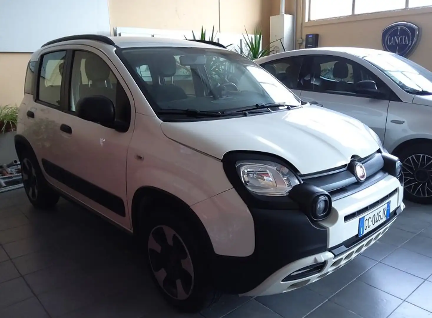 Fiat Panda Panda III 2016 1.0 hybrid City Cross s Bianco - 1