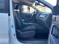 Ford Ranger Limited XLT Doppia Cabina White - thumbnail 12