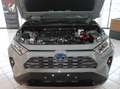 Toyota RAV 4 RAV4 2,5 Active Drive 2WD Aut. Grün - thumbnail 20