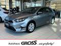 Kia Ceed / cee'd Ultimate Edition 1.5 T-GDI Mild-Hybrid EU6e Navi D Zilver - thumbnail 1