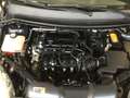Ford Focus Style Wagon 1.6 + 115cv - thumbnail 13