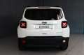 Jeep Renegade 1.0 T3 LIMITED Bianco - thumbnail 13