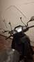 Kymco Agility 125 Tucano Negro - thumbnail 5