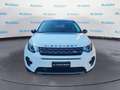 Land Rover Discovery Sport Discovery 2.0 td4 SE awd 150cv Bianco - thumbnail 10