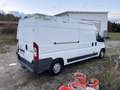 Peugeot Boxer HDi 335 L3 Kasten Wagen - thumbnail 2