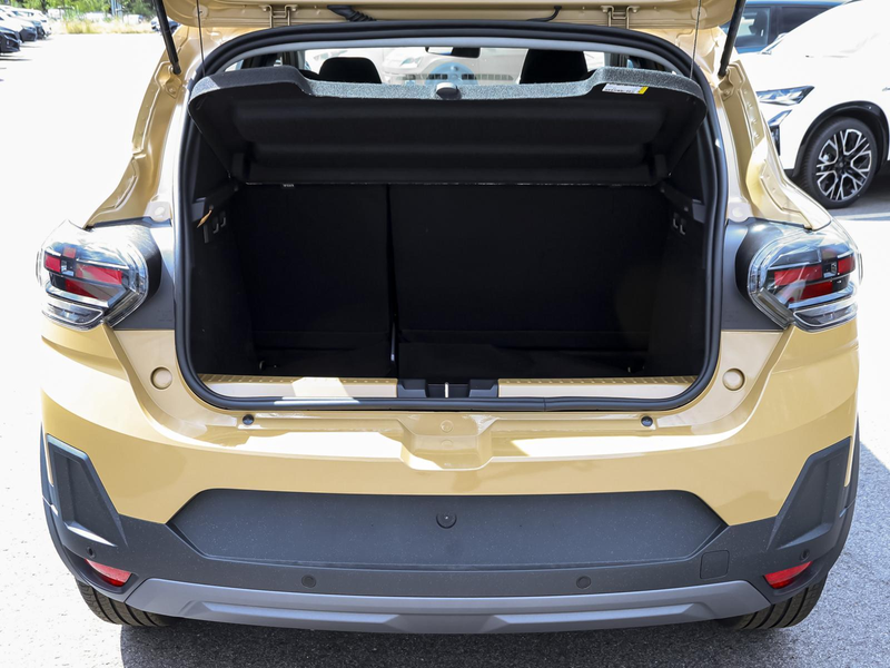 Dacia Sandero Stepway Expression TCe 110 SHZ PDC KLIMA — photo 11