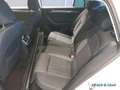 Skoda Superb Combi Style 1.5 TSI 110kW DSG AHK ACC Navi Weiß - thumbnail 7