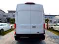 Ford Transit 350 L3 Trend Kasten (TTS) Inkl. "MWST" Weiß - thumbnail 6