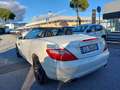 Mercedes-Benz SLK 250 1.8 BENZINA AMG EST CABRIO Blanc - thumbnail 4
