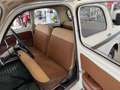 Fiat 900 1100 Marrone - thumbnail 10