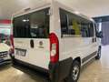 Fiat Ducato 30 2.2 Mjt 140CV 9 POSTI **KM CERTIFICATI** Bianco - thumbnail 4