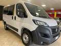 Fiat Ducato 30 2.2 Mjt 140CV 9 POSTI **KM CERTIFICATI** Bianco - thumbnail 1