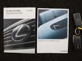 Lexus RX 450h 4WD Business Line | Trekhaak | Leder | Grey - thumbnail 10