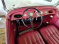 Oldtimer DKW F5 Blanc - thumbnail 5