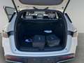 BYD SEAL 6 DM-i Touring Comfort Lite Gelb - thumbnail 19