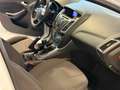 Ford Focus 5p 1.6 tdci Titanium 115cv Bianco - thumbnail 11