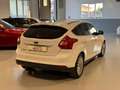 Ford Focus 5p 1.6 tdci Titanium 115cv Bianco - thumbnail 4
