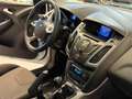Ford Focus 5p 1.6 tdci Titanium 115cv Bianco - thumbnail 12
