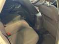 Ford Focus 5p 1.6 tdci Titanium 115cv Bianco - thumbnail 10