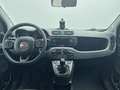 Fiat Panda 1.0 MHEV CITY LIFE 70CV 5P Blanco - thumbnail 6
